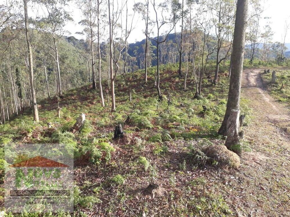 Terreno, 5600 m² - Foto 8