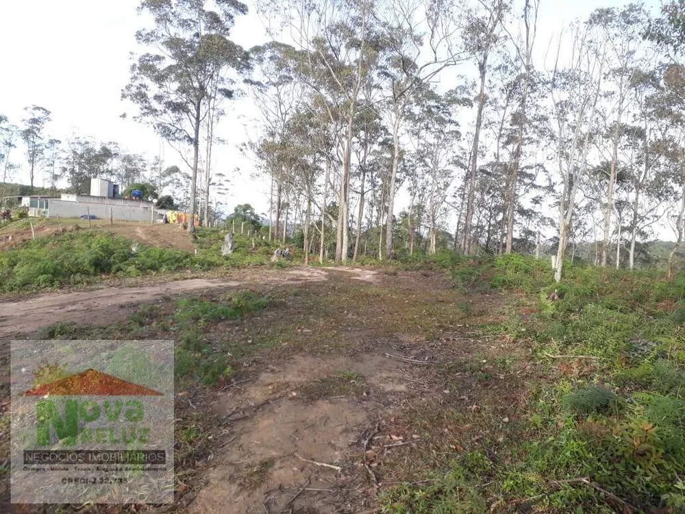 Terreno, 5600 m² - Foto 9