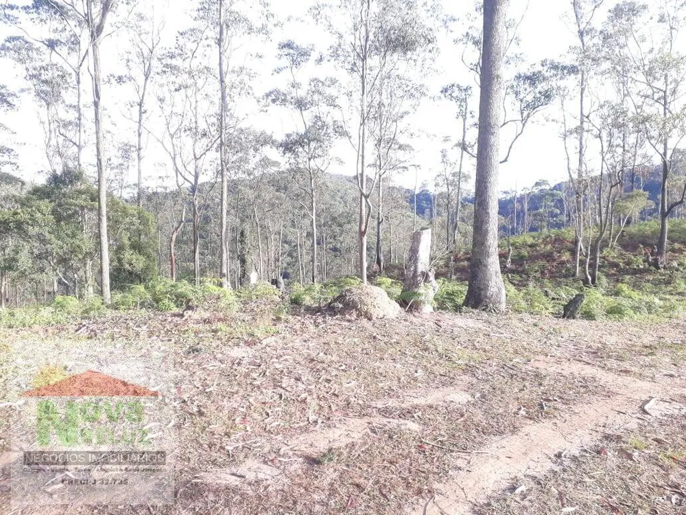 Terreno, 5600 m² - Foto 13