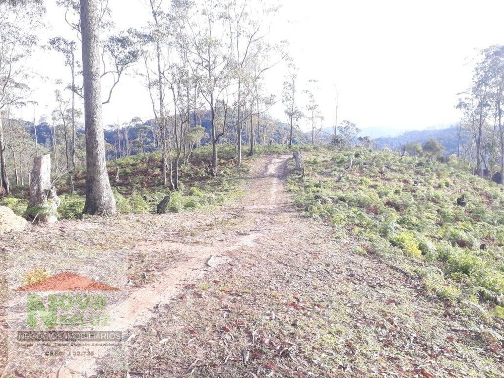 Terreno, 5600 m² - Foto 7