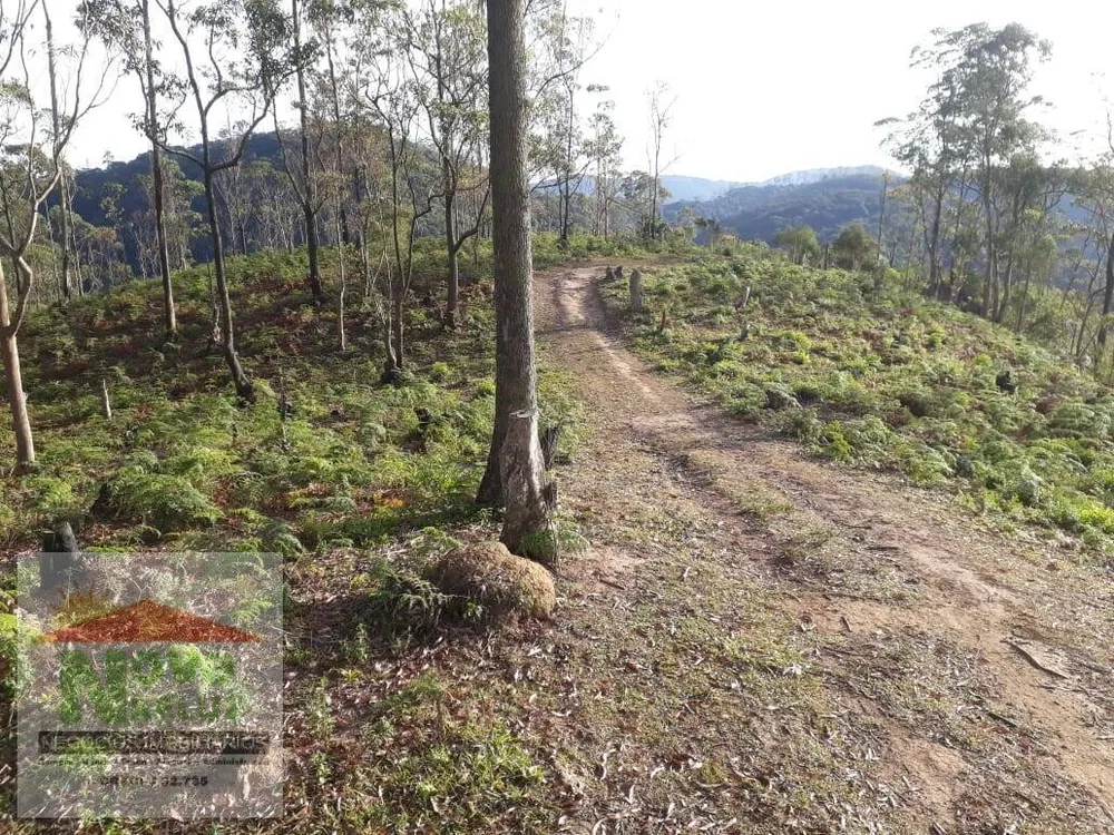 Terreno, 5600 m² - Foto 12