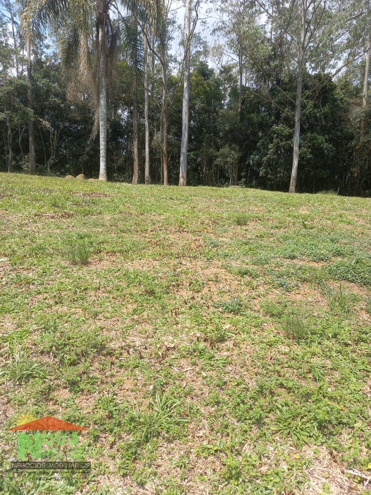 Terreno à venda, 12500m² - Foto 2