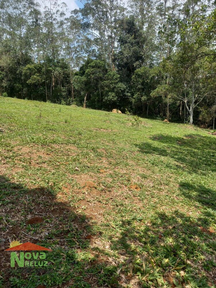 Terreno à venda, 12500m² - Foto 7