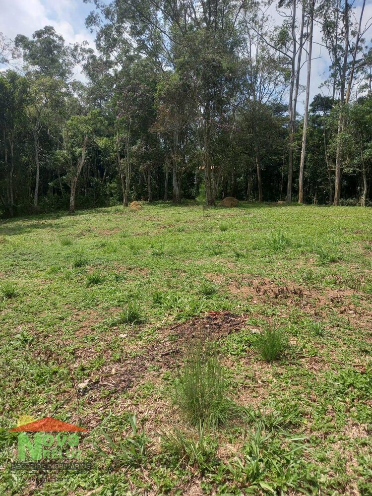 Terreno à venda, 12500m² - Foto 3