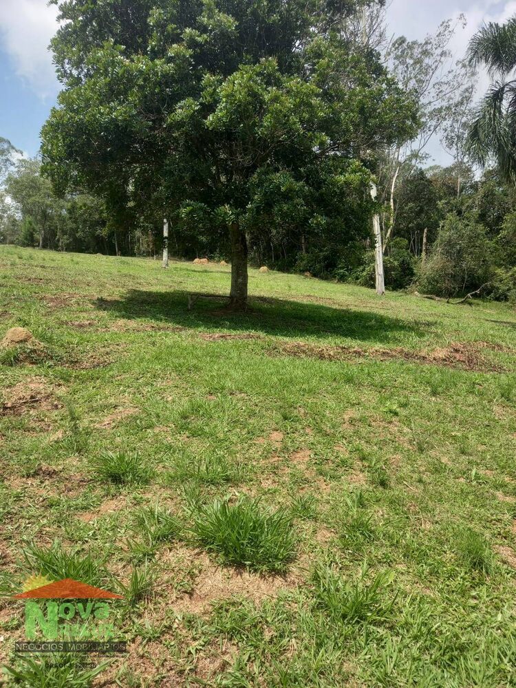 Terreno à venda, 12500m² - Foto 9