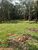 Terreno, 1 hectares - Foto 11