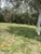 Terreno, 1 hectares - Foto 5