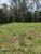 Terreno, 1 hectares - Foto 3