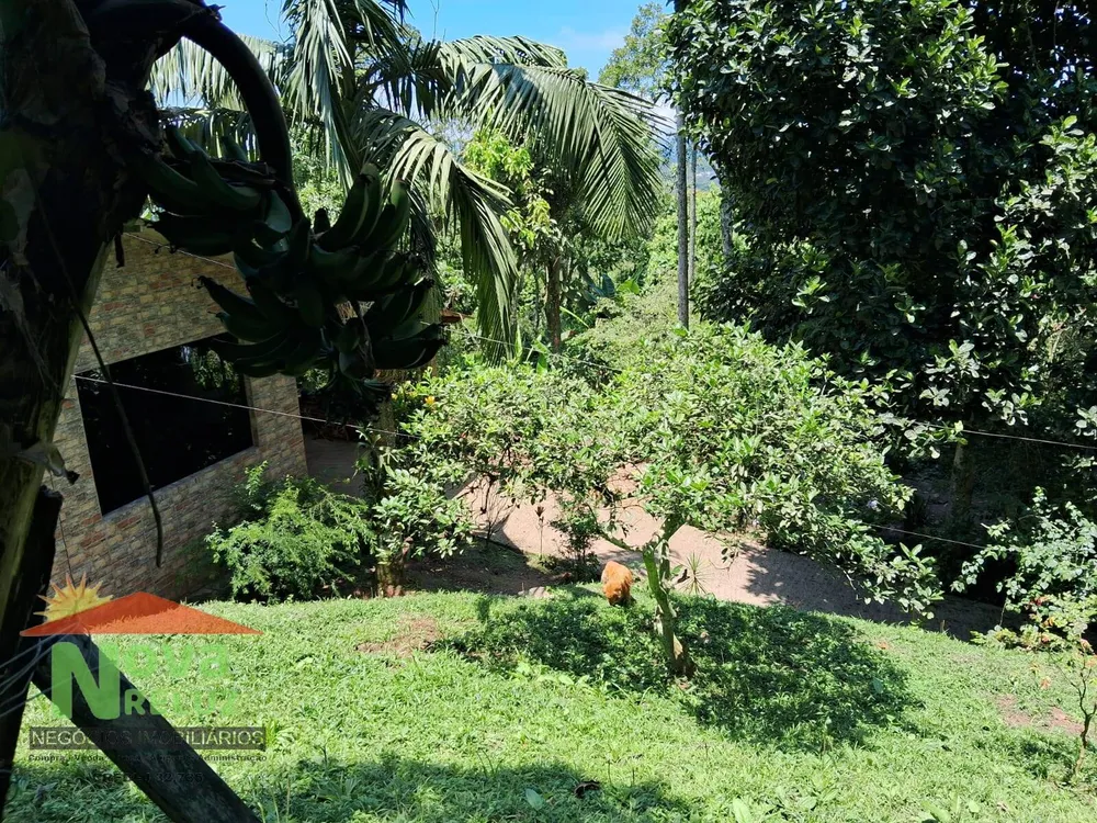 Chácara, 3 quartos, 1600 m² - Foto 3
