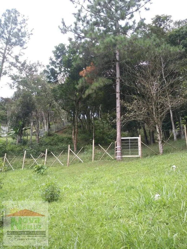 Chácara, 2 quartos, 6250 m² - Foto 14