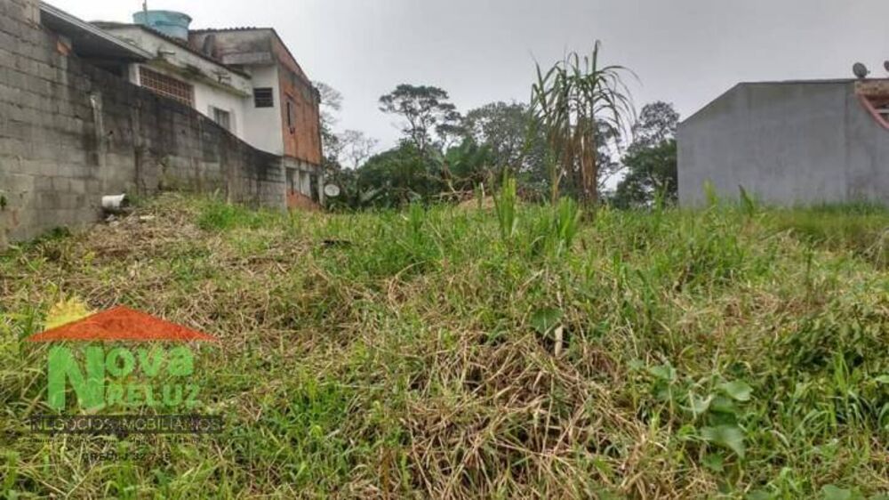 Terreno, 3 hectares - Foto 3