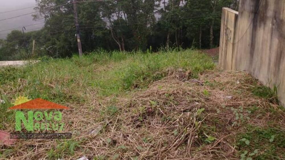 Terreno, 3 hectares - Foto 2