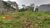 Terreno, 3 hectares - Foto 3