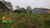 Terreno, 3 hectares - Foto 4