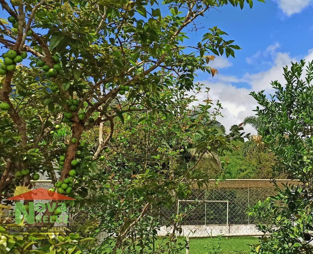 Chácara, 2 quartos, 1640 m² - Foto 10