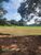 Terreno, 2 hectares - Foto 4