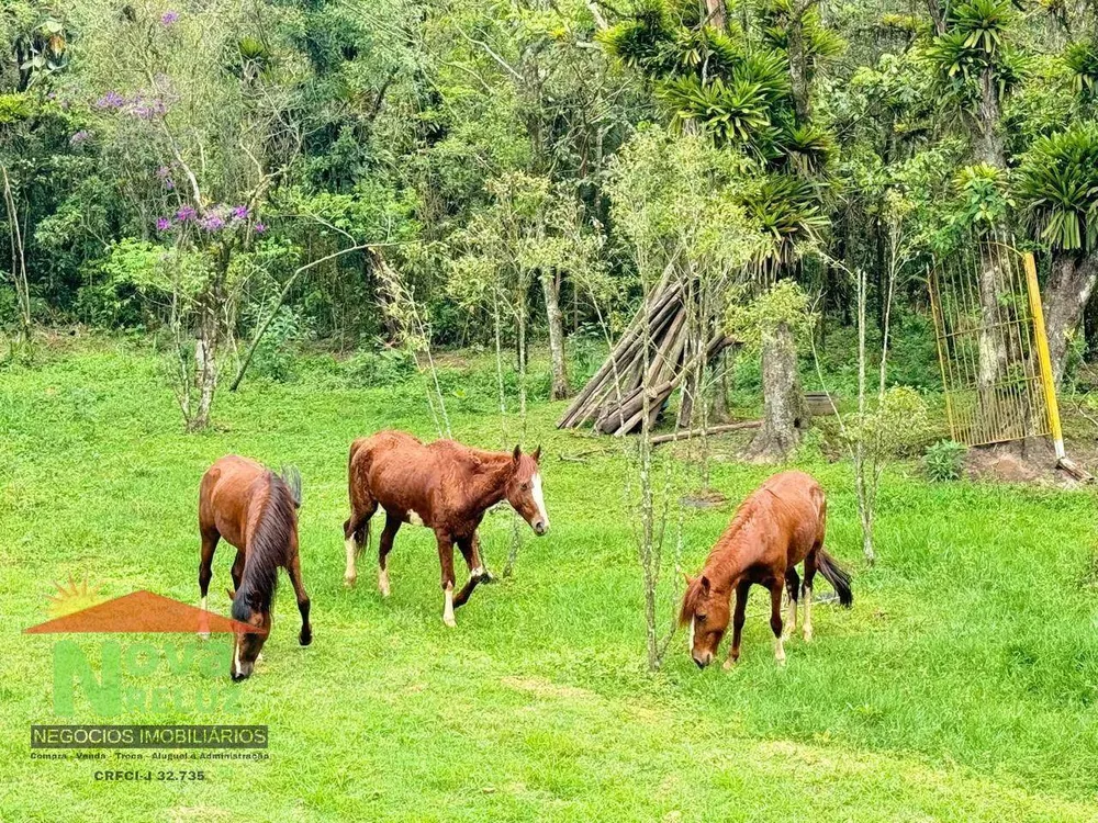 Sítio, 2 quartos, 2 hectares - Foto 11