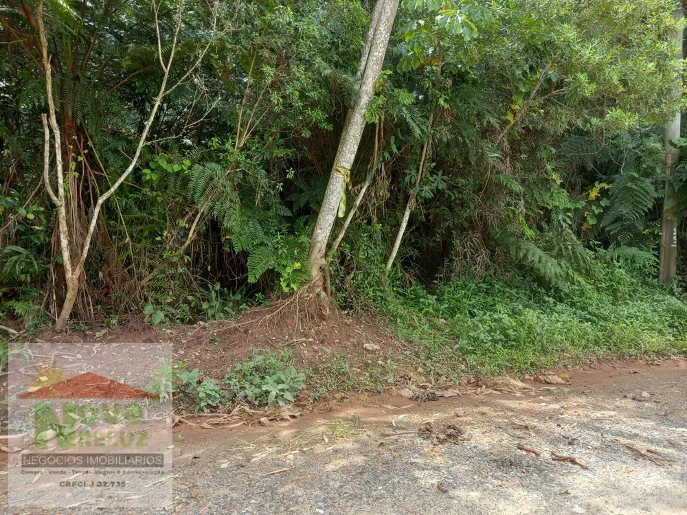 Terreno, 5000 m² - Foto 8