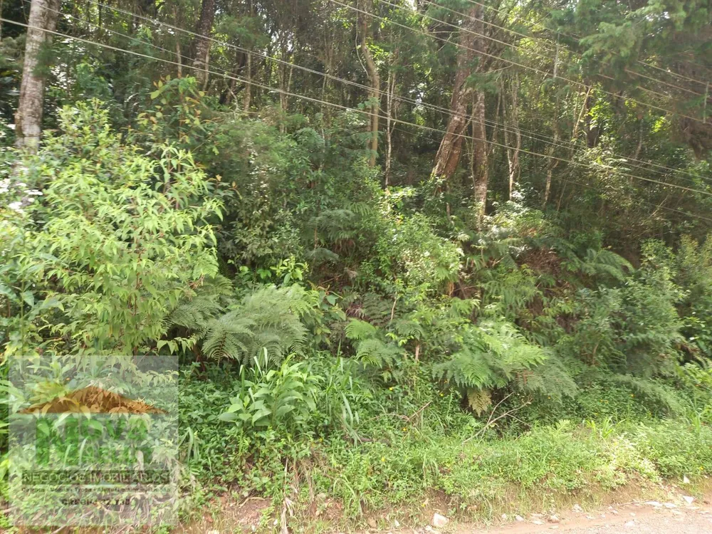 Terreno, 5000 m² - Foto 10