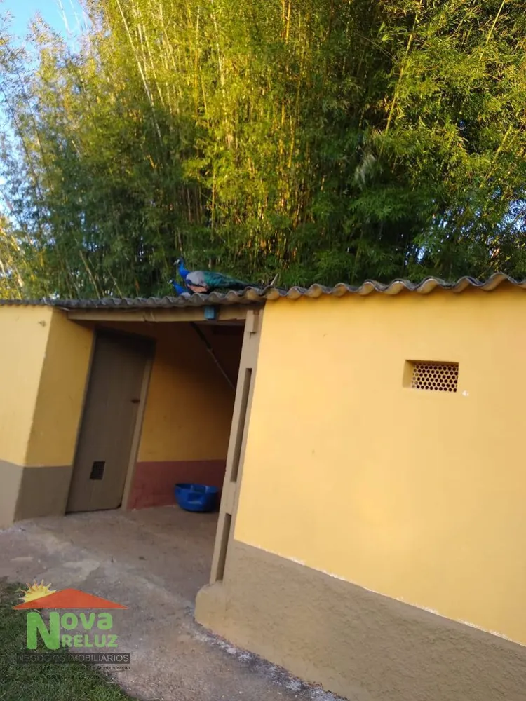 Sítio, 4 quartos, 6 hectares - Foto 16