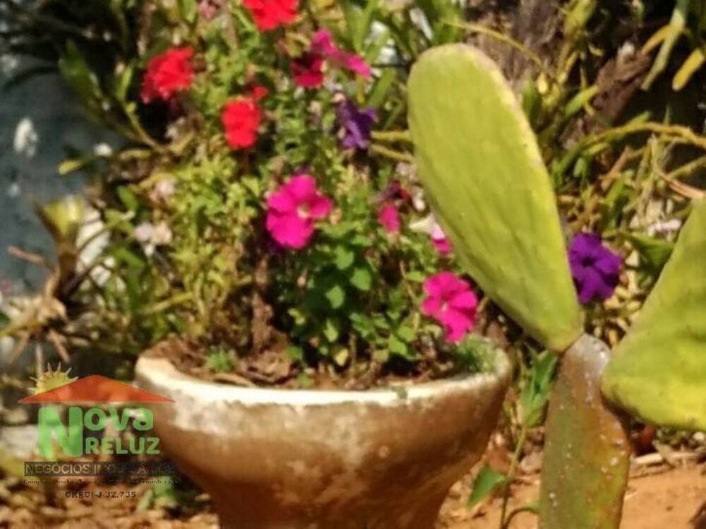 Chácara, 2 quartos, 1000 m² - Foto 10