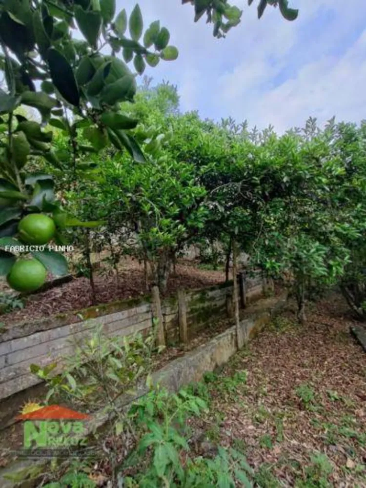 Chácara, 4 quartos, 1000 m² - Foto 6
