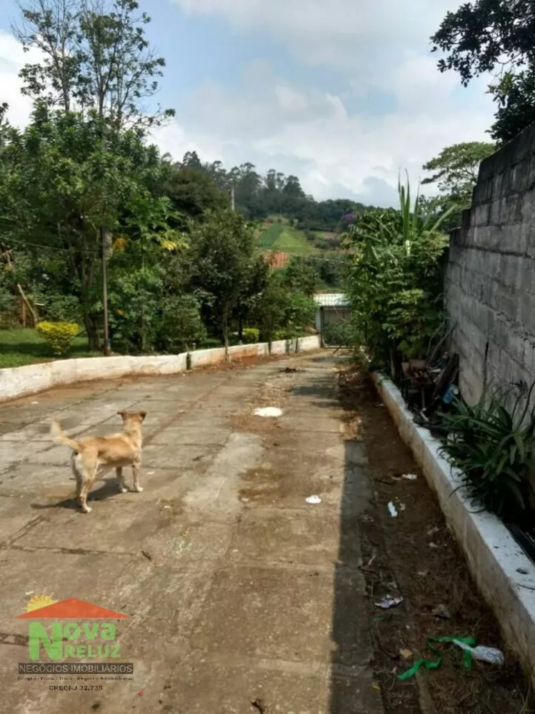 Fazenda à venda com 2 quartos, 1000m² - Foto 3