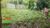 Terreno, 360 m² - Foto 1