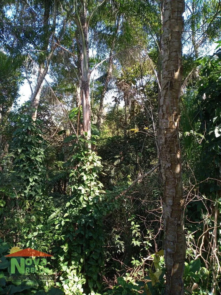 Terreno - Foto 7