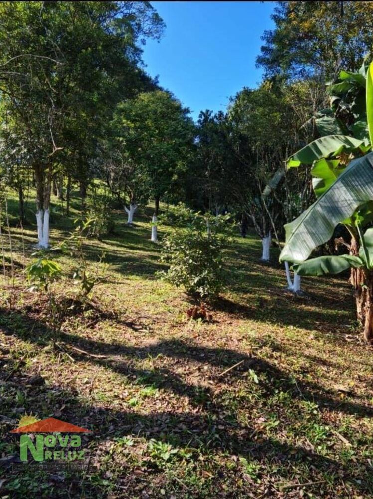 Terreno - Foto 7