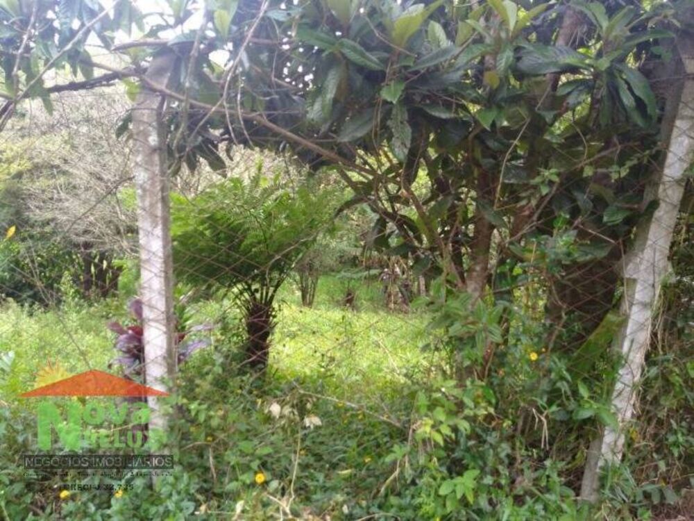 Terreno, 1390 m² - Foto 2