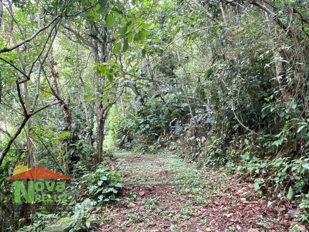 Sítio, 2 quartos, 13 hectares - Foto 4