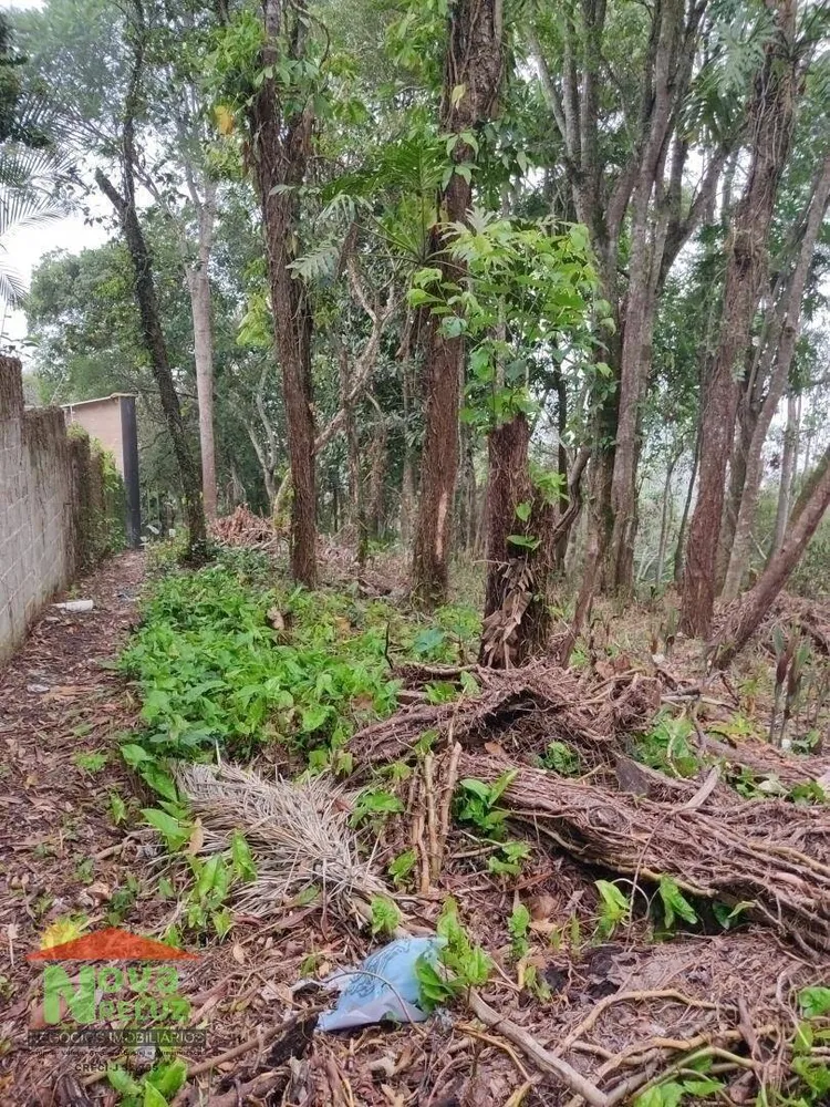Terreno, 1300 m² - Foto 11