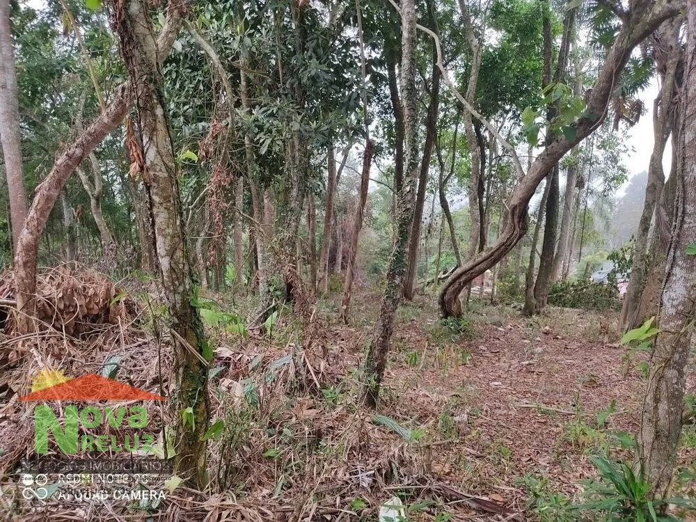 Terreno, 1300 m² - Foto 3