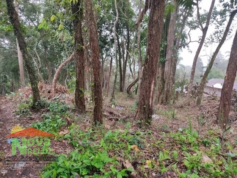 Terreno, 1300 m² - Foto 5