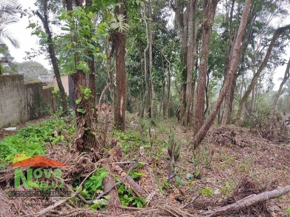 Terreno à venda, 1300m² - Foto 3