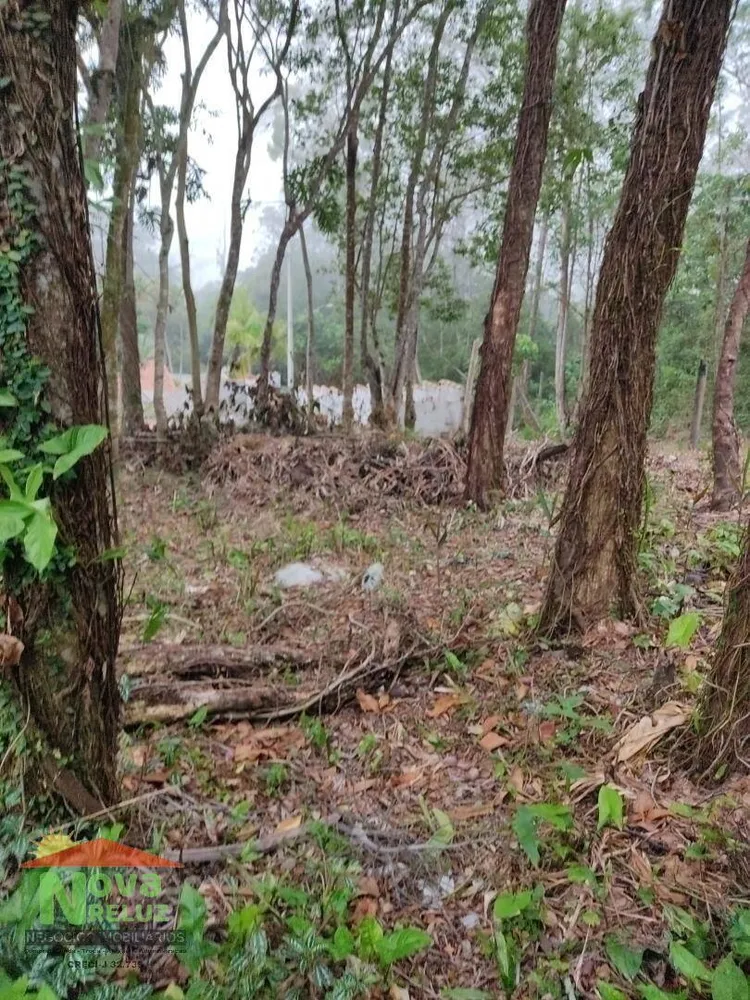 Terreno, 1300 m² - Foto 8