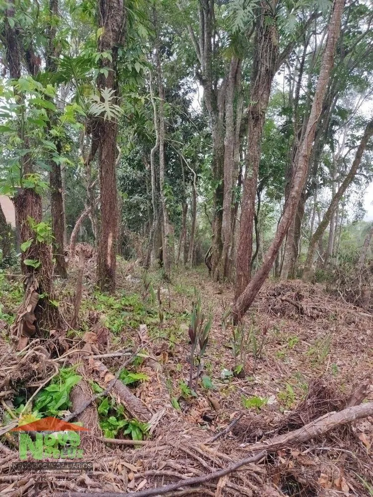Terreno, 1300 m² - Foto 6
