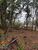 Terreno, 1300 m² - Foto 1
