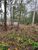 Terreno, 1300 m² - Foto 4