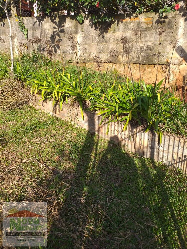 Terreno, 300 m² - Foto 3