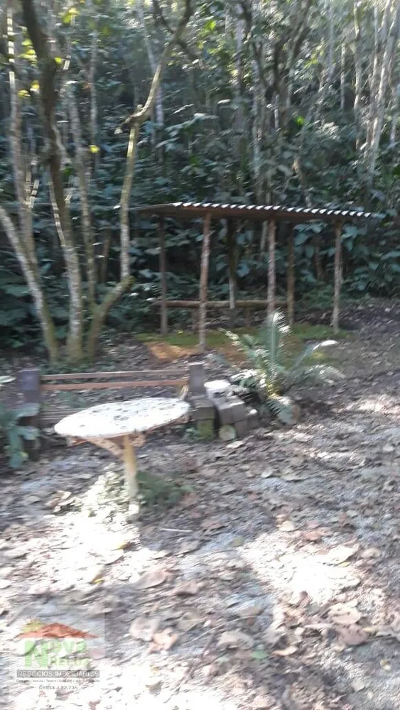 Terreno, 12 hectares - Foto 1