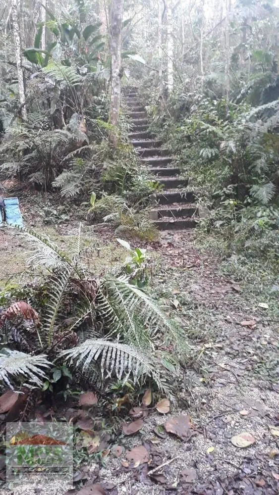 Terreno, 12 hectares - Foto 4