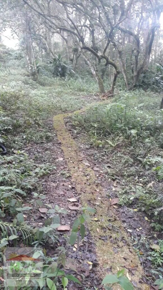 Terreno, 12 hectares - Foto 6
