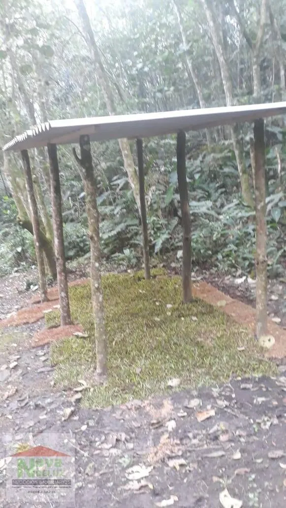 Terreno, 12 hectares - Foto 10