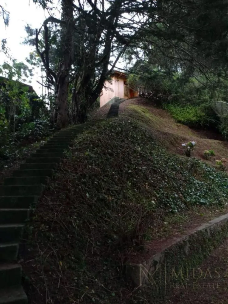 Casa, 4 quartos, 500 m² - Foto 3
