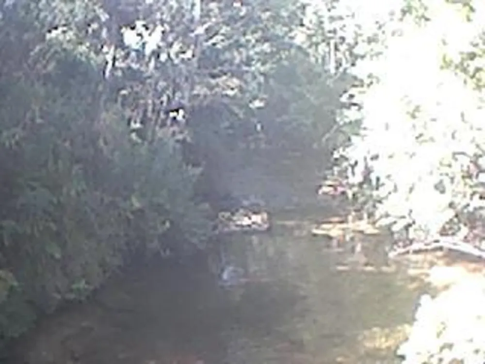 Terreno, 6 hectares - Foto 6