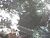 Terreno, 6 hectares - Foto 4