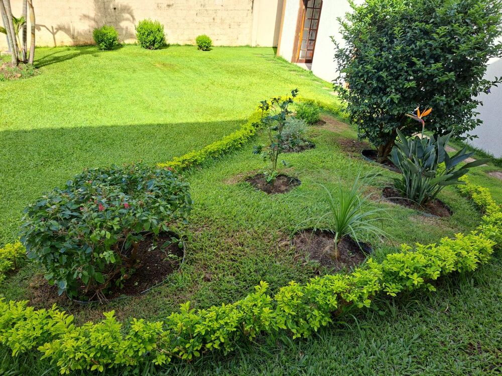 Casa, 4 quartos, 350 m² - Foto 3