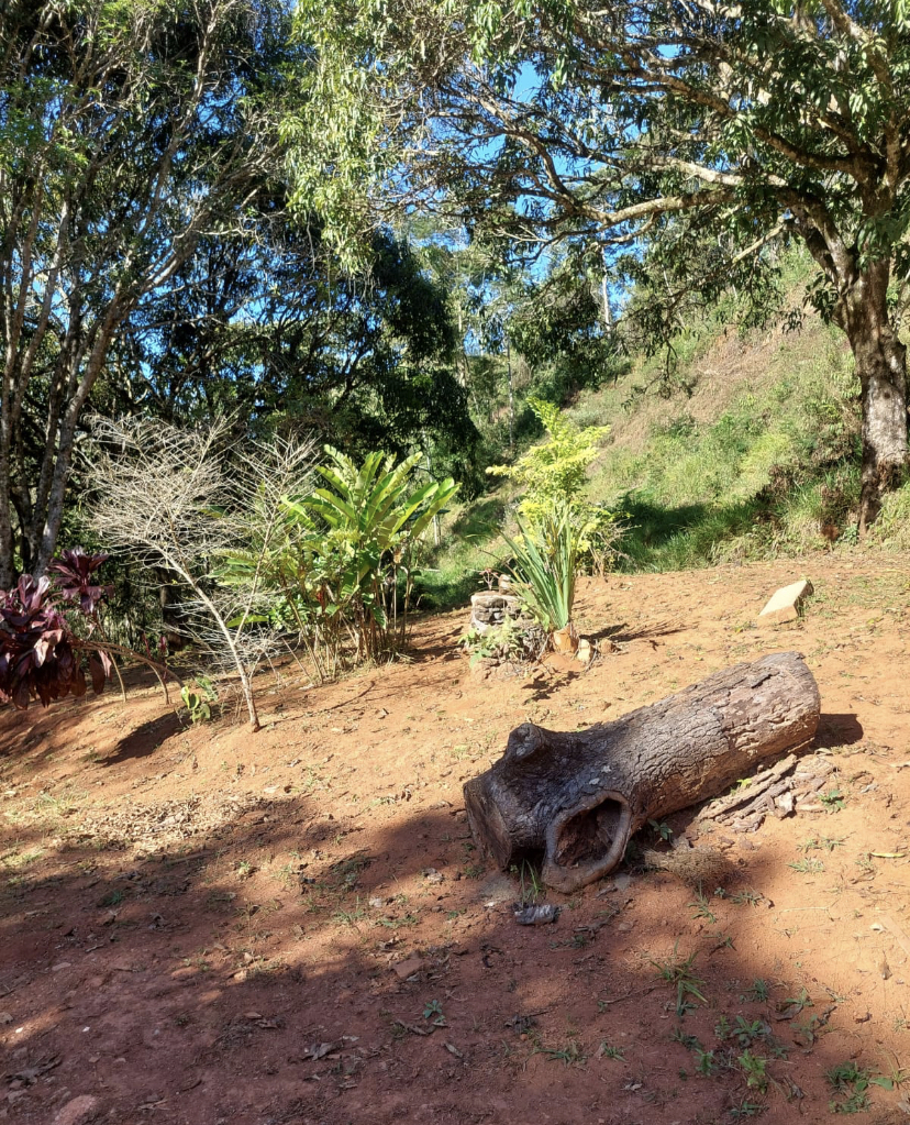 Fazenda à venda, 148hectare - Foto 2